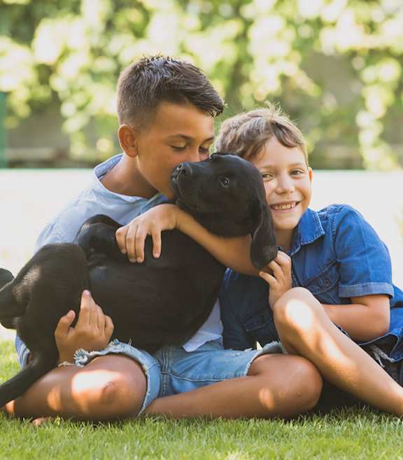 Two boys hugging a black dog on the grass.