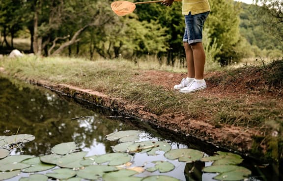 Kid with a net at the edge of a lake surrounded by trees and water lilies