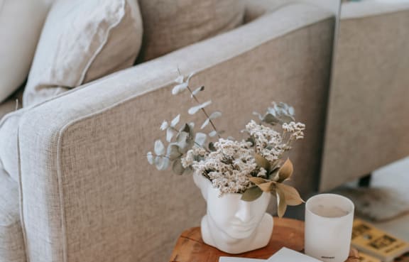 living room with couch, pillows, plants and white walls. 