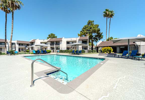 A swimming pool surrounded by palm trees and lounge chairs.