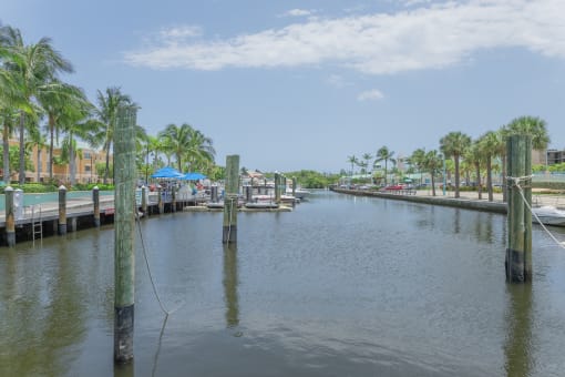 a canal with boats and palm trees on either side