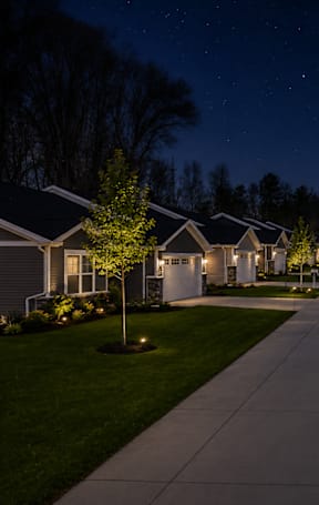 A long, well-lit driveway leads the eye through a quiet, tree-lined residential street at night.