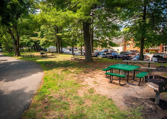 Spring Ridge Apartments Picnic Area