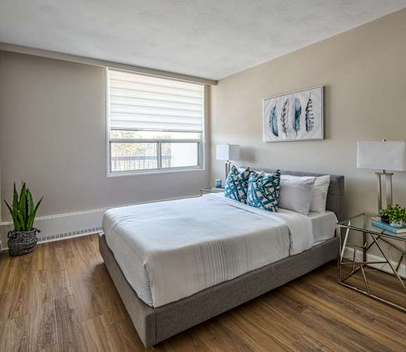 A bedroom with a bed, nightstand, and a plant.