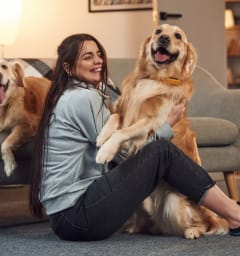 a woman sitting on a couch with two dogs