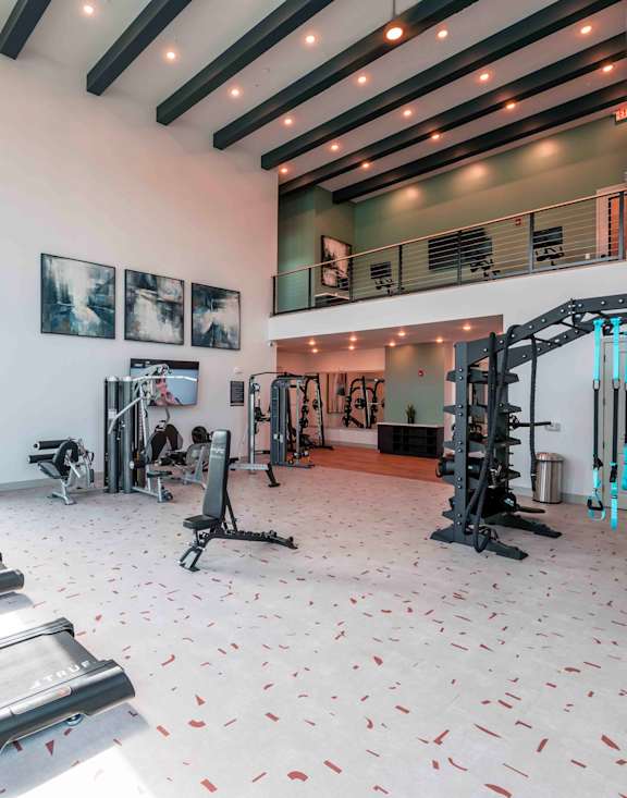 A gym with a variety of equipment including a rowing machine.