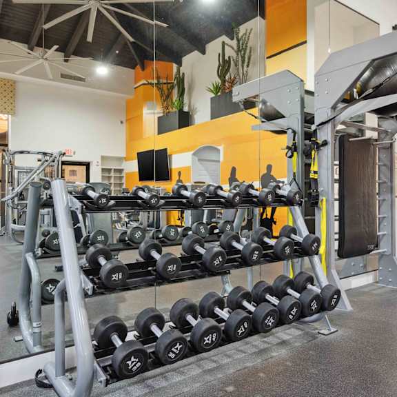 A gym with a punching bag and a rack of dumbbells.
