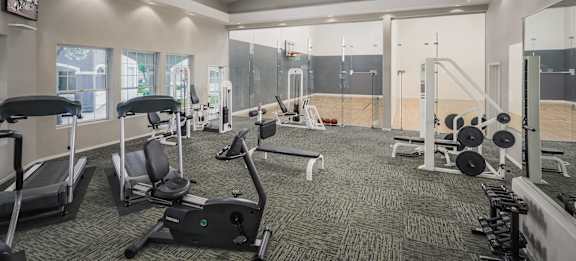 A gym with treadmills, weight machines, and a flat screen TV.