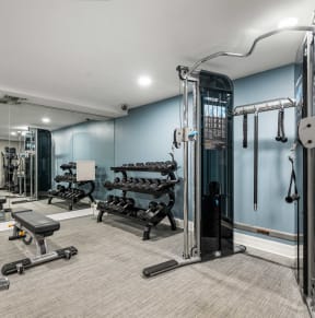 a gym with weights and cardio equipment and blue walls