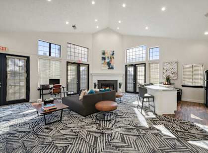 A black and white patterned carpet covers the floor of a spacious living room.