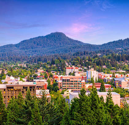 a view of a city with a mountain in the background