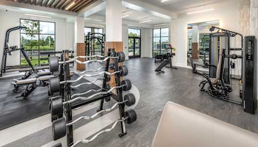 a gym with weights and other equipment in a building with windows at The Haven at Lake Britt Apartments, Winter Garden, FL 34787