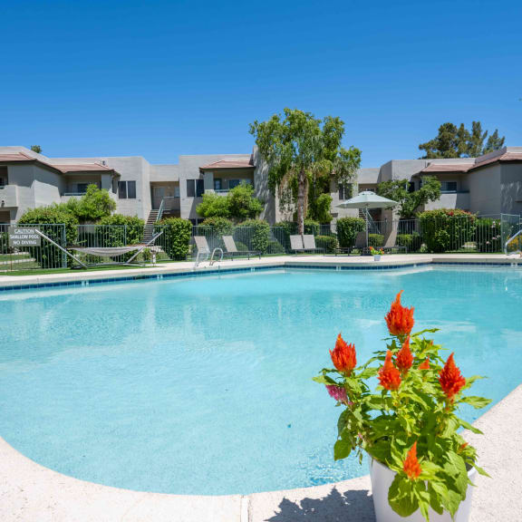 our apartments showcase an unique swimming pool