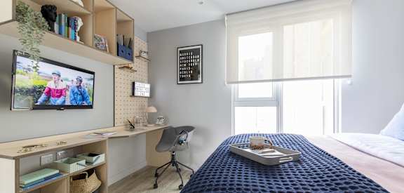 a bedroom with a bed and a desk and a tv