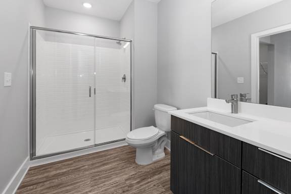 A modern bathroom with a walk-in shower, toilet, and sink.