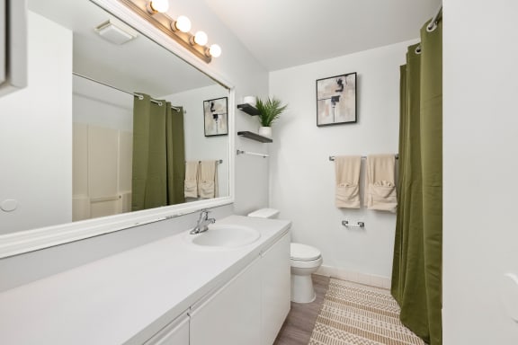 a bathroom with a white sink and a toilet and a green shower curtain