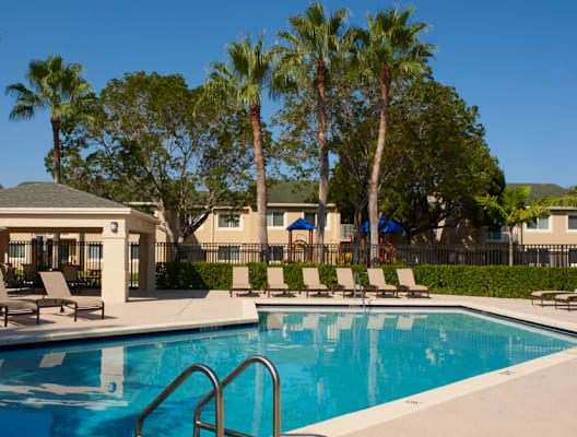 the swimming pool at the resort at longboat key club