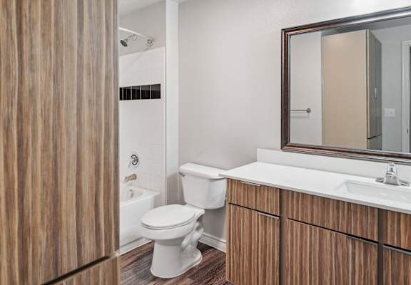 a bathroom with a toilet and a sink and a mirror