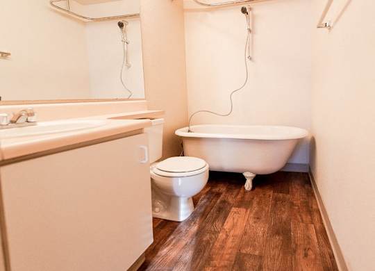 Bathroom at Zindorf, Seattle, 98104