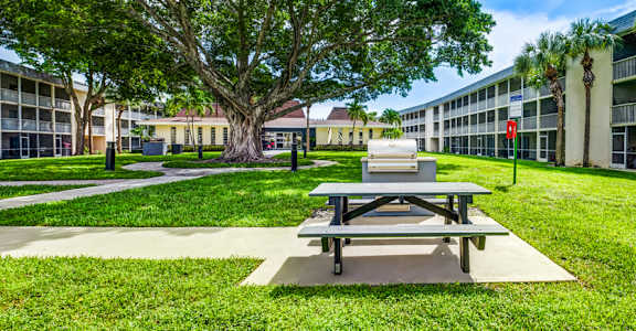 Green courtyard with picnic tables at Coronado Springs Apartments in Palm Springs, FL. Pet-friendly outdoor space for residents to relax.
