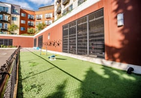 Kent Apartments - The Platform Apartments - Dog Park
