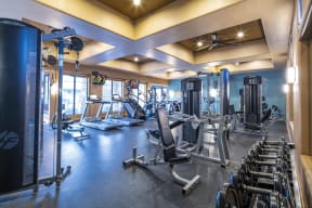 a gym with cardio equipment and weights on the floor