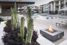 a fire pit with cactus and other plants in front of a pool