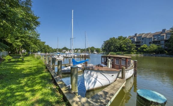 a row of boats docked at a dock on a river  at Spa Cove Apartments, Annapolis, 21403