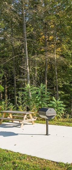 Picnic Area