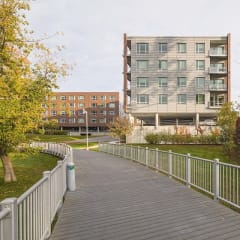 Boardwalk