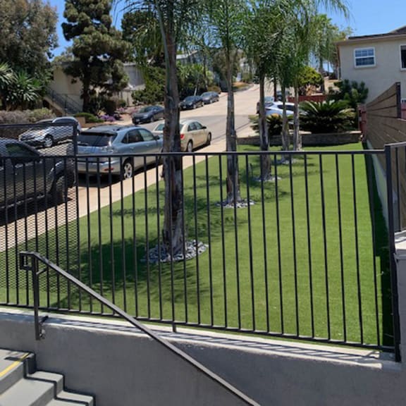 a view of the yard from the stairs