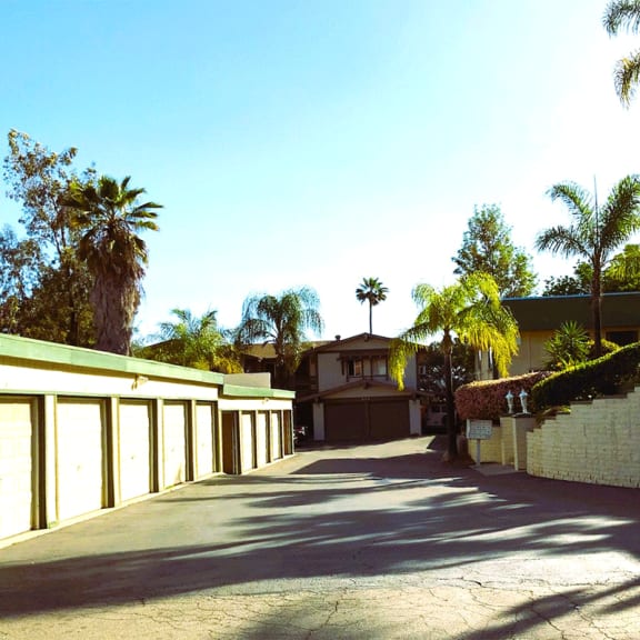 a driveway with a house and palm trees in the background