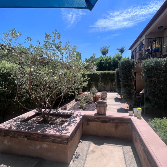 a view of the garden from the patio