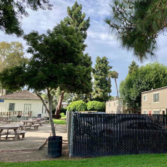 a park with picnic tables and trees