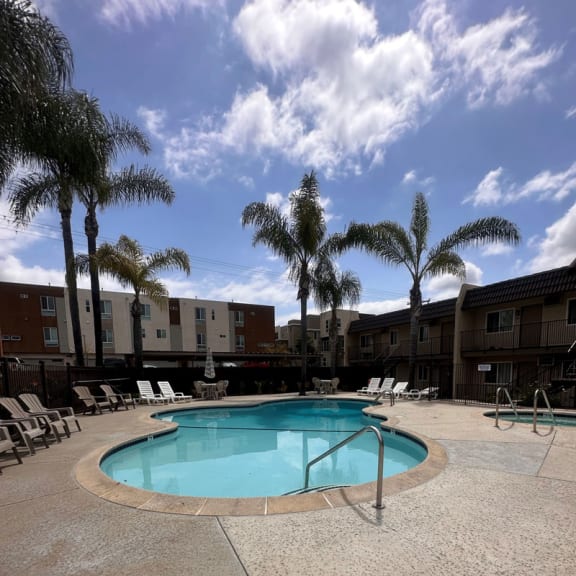 a swimming pool with palm trees in the background