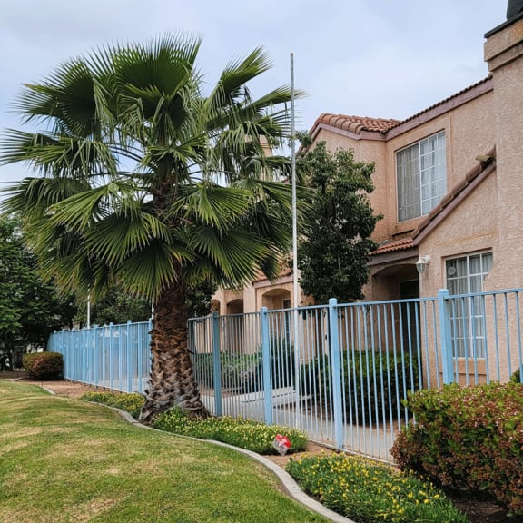 a palm tree in front of a building