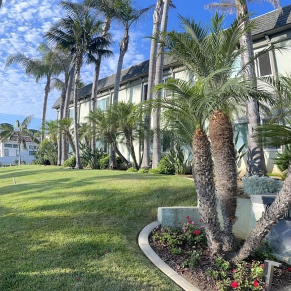a grassy area with palm trees in front of a building