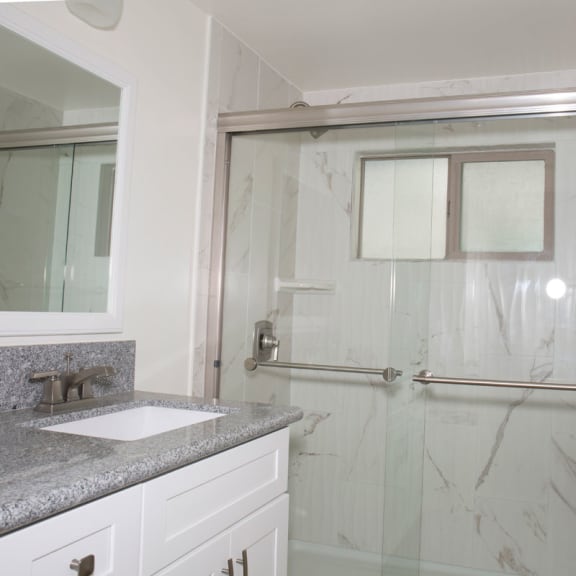 a bathroom with a sink and a shower with a glass door