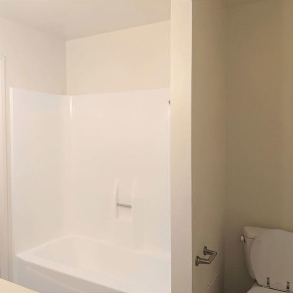 a bathroom with a toilet and a bathtub