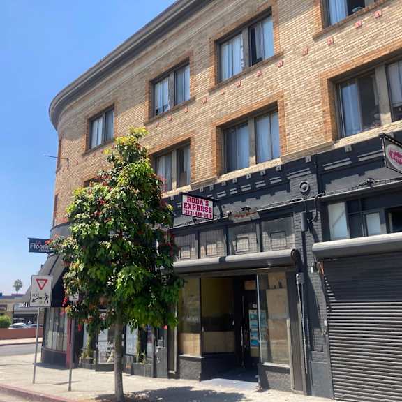A tree in front of a building with a sign that says "Express".