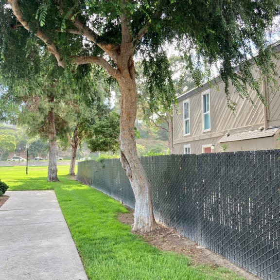a tree in a yard behind a fence