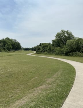 a path through a grassy field with trees on the side