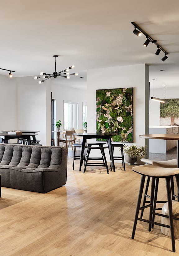 A pool table in a room with a plant and pictures on the wall.