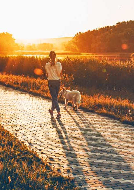 a person walking a dog down a path