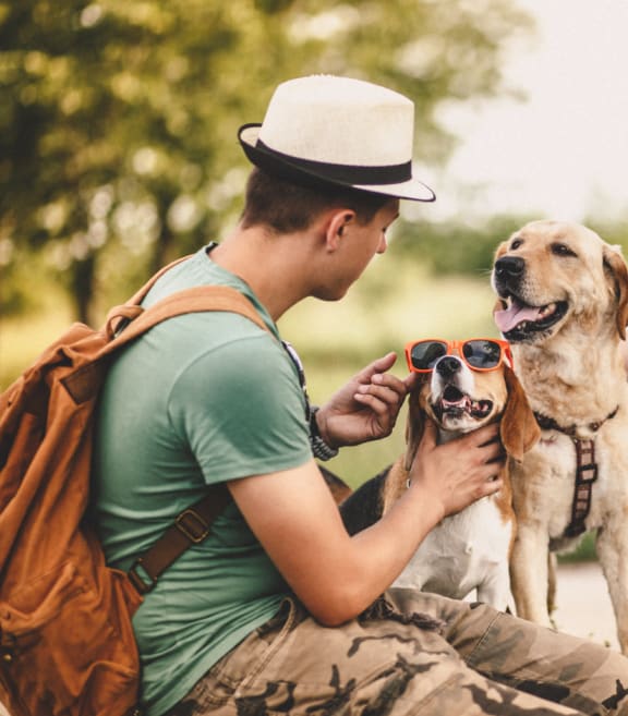 a man is petting a dog wearing sunglasses