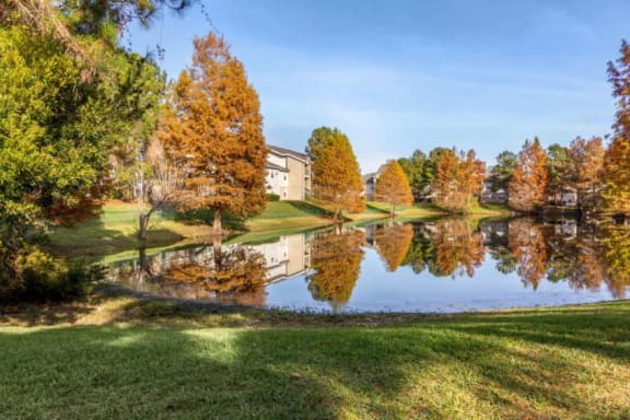 Waterfront view with seasonal trees changing colors
