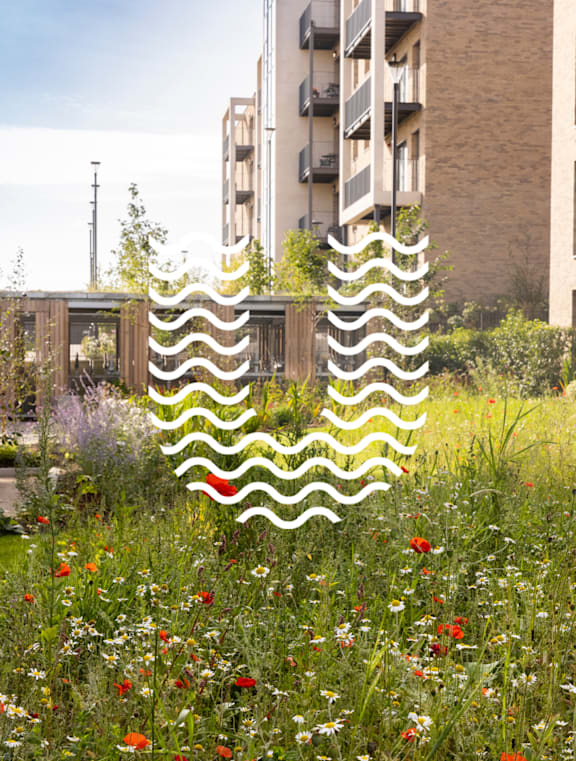 a large white wavy design in a field of flowers