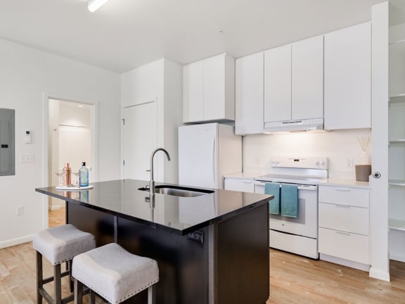 Chef Kitchen at The Watercooler Apartments in Boise, ID 83702