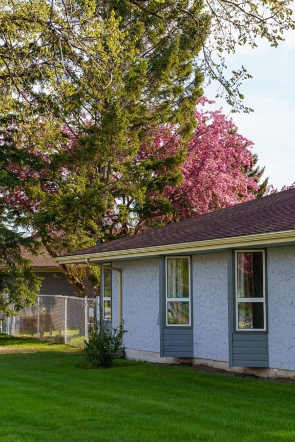 a house with a pink flowering tree in the background