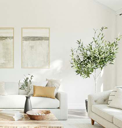 A living room with a white couch, a lamp, and two framed pictures on the wall.